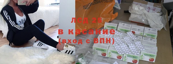 ГАЛЛЮЦИНОГЕННЫЕ ГРИБЫ Аркадак