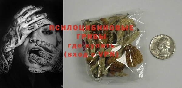 ГАЛЛЮЦИНОГЕННЫЕ ГРИБЫ Аркадак