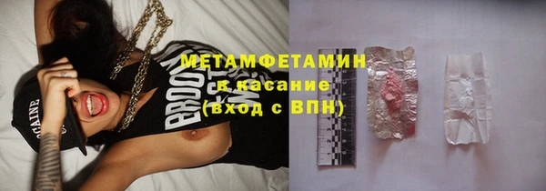 ГАЛЛЮЦИНОГЕННЫЕ ГРИБЫ Аркадак