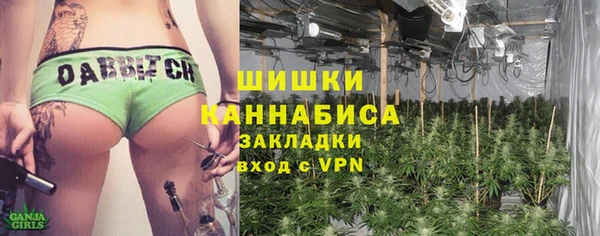 твердый Няндома