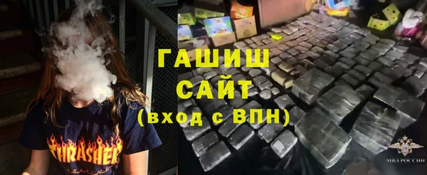 индика Нягань